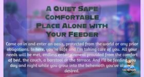 A Quiet Safe Comfortable Place Alone with Your Feeder – 26:45