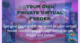 Virtual Feeder: Your Own Private Virtual Feeder – 45:13