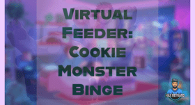 Virtual Feeder: Cookie Monster Binge – 63:00