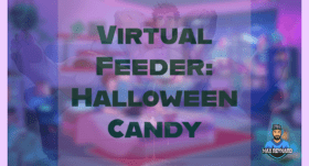 Virtual Feeder: Halloween Candy – 33:40