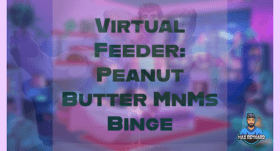 Virtual Feeder: Peanut Butter MnMs Binge – 2:04:01